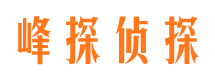 疏勒市场调查